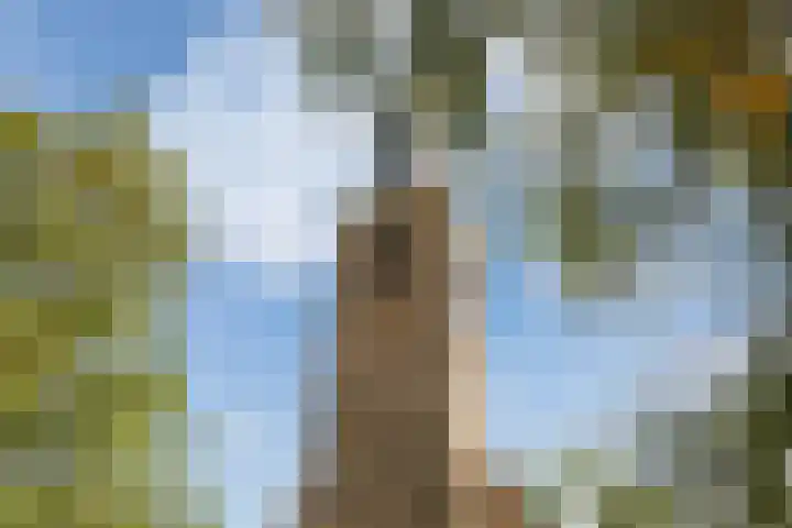 Koninginneweg 55 Oud-Beijerland thumbnail 51