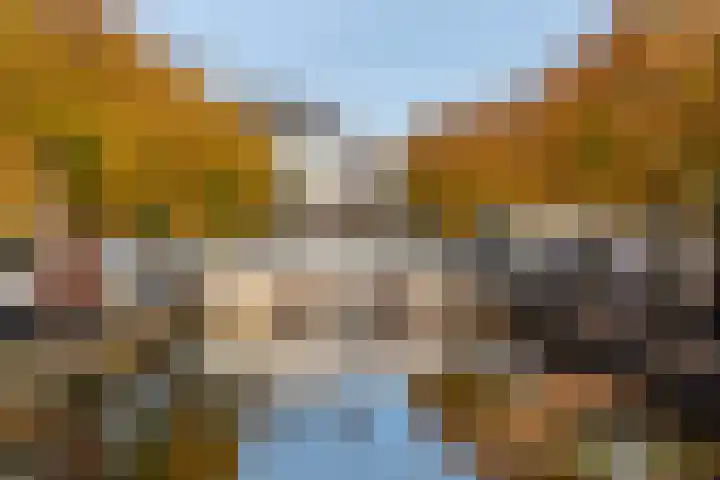 Koninginneweg 55 Oud-Beijerland thumbnail 52