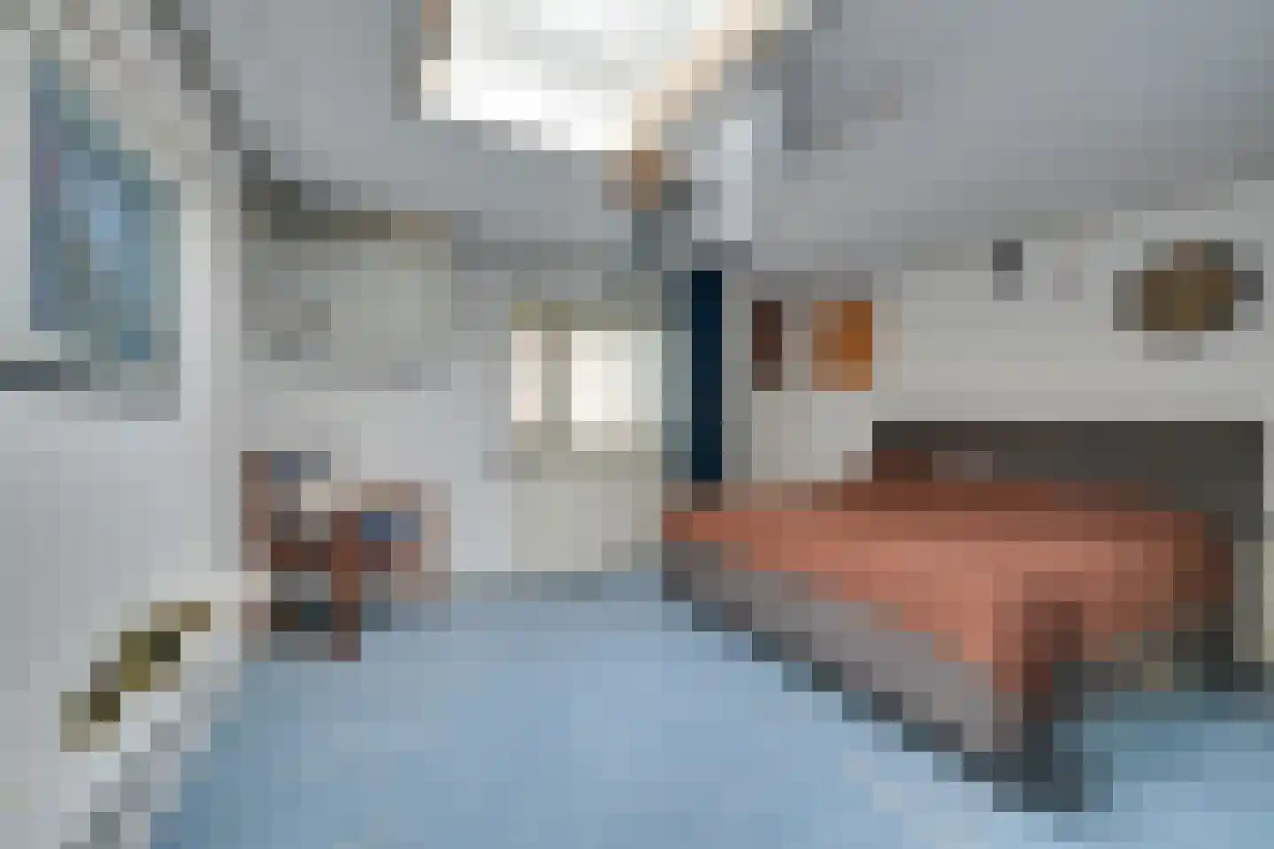 Koninginneweg 56 Opmeer thumbnail 21