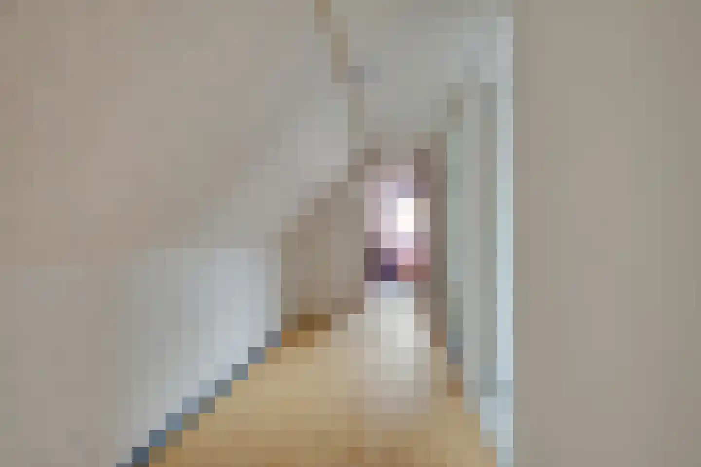 Koninginneweg 56 Opmeer thumbnail 30
