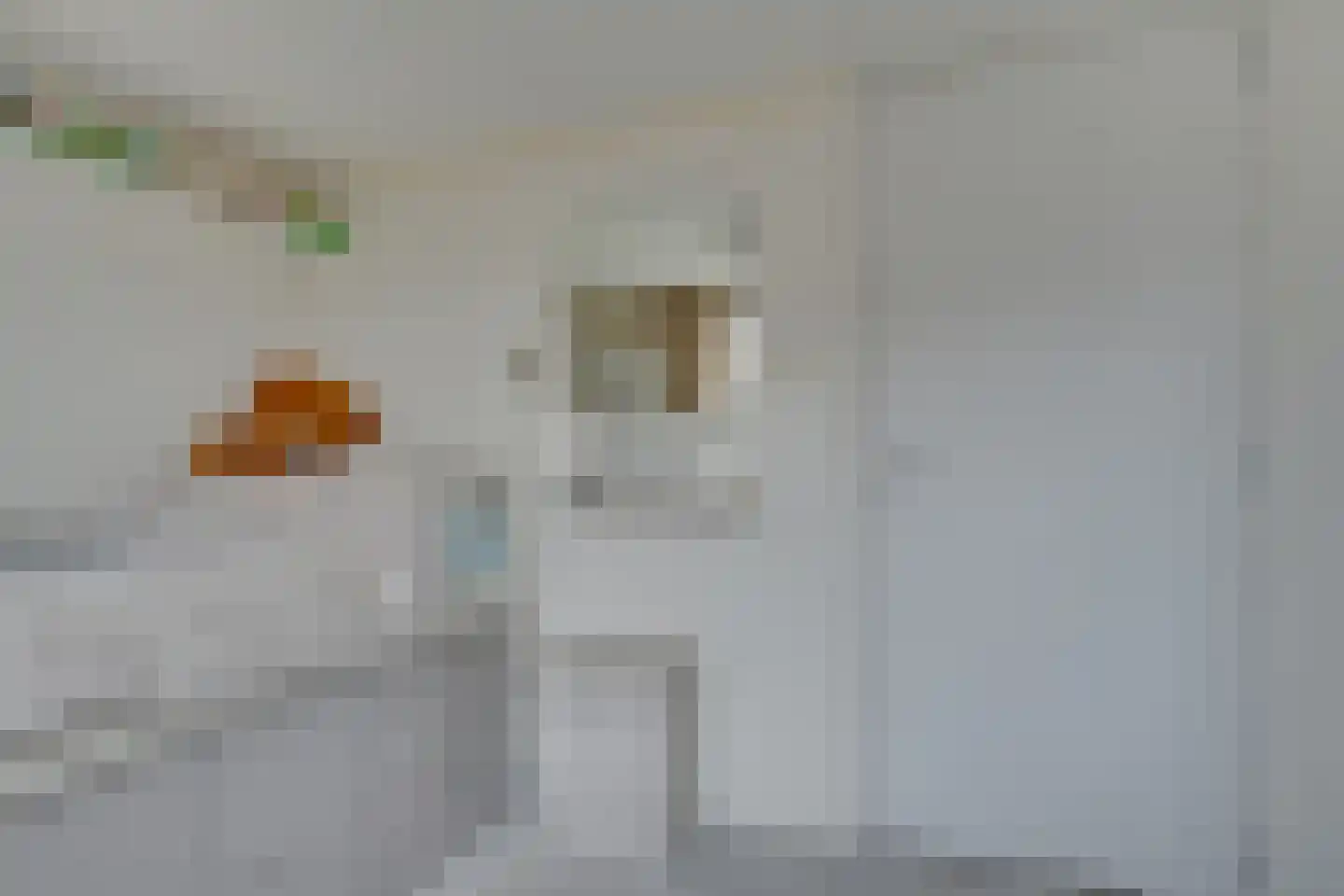Koninginneweg 56 Opmeer thumbnail 34