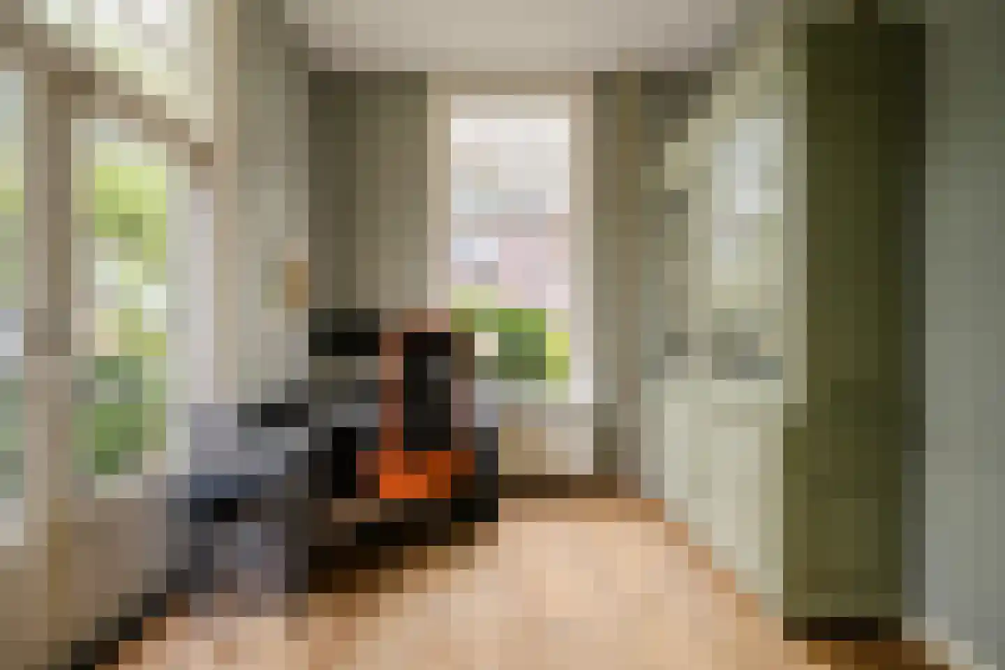 Koninginneweg 58 Haarlem thumbnail 10