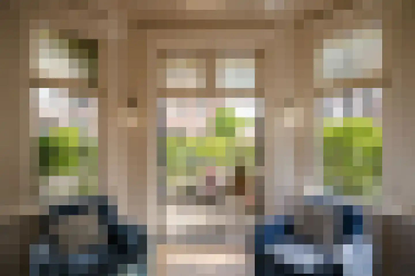 Koninginneweg 58 Haarlem thumbnail 16