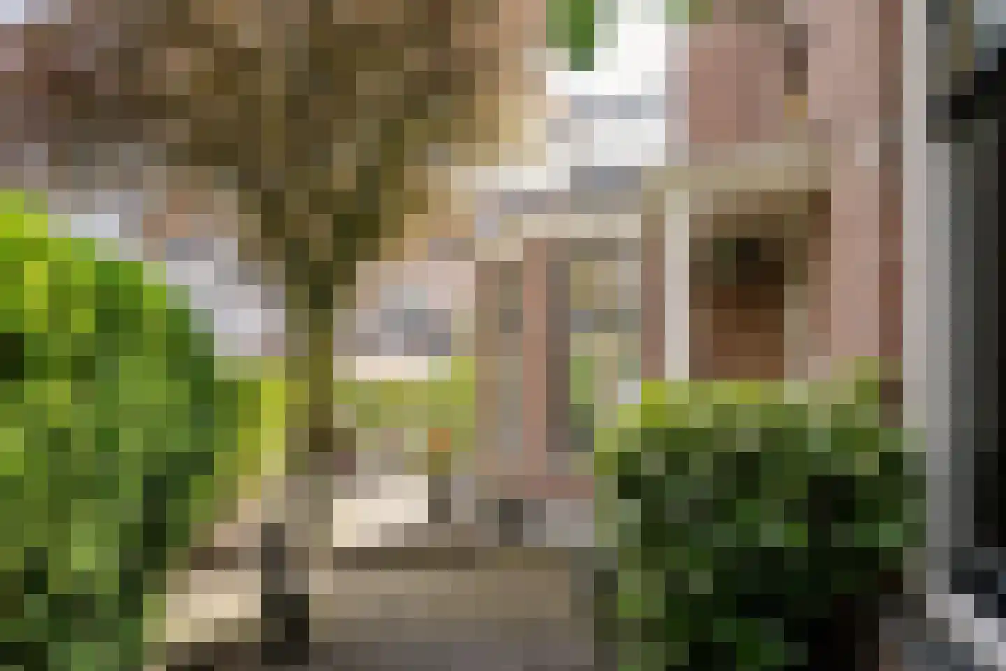 Koninginneweg 58 Haarlem thumbnail 30