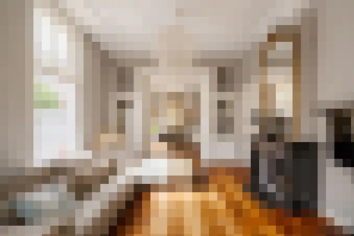 Koninginneweg 58 Haarlem thumbnail 4