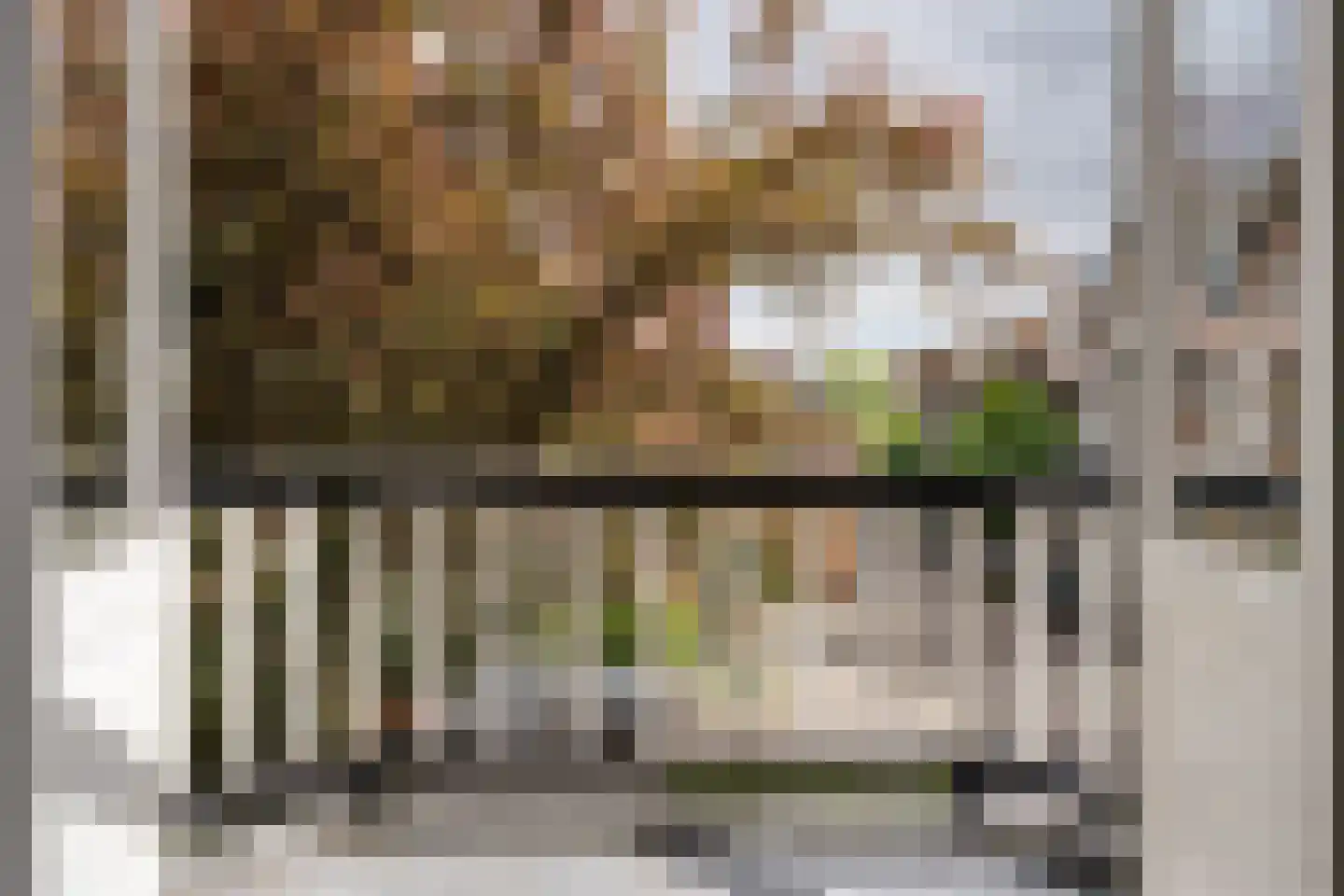 Koninginneweg 58 Haarlem thumbnail 44