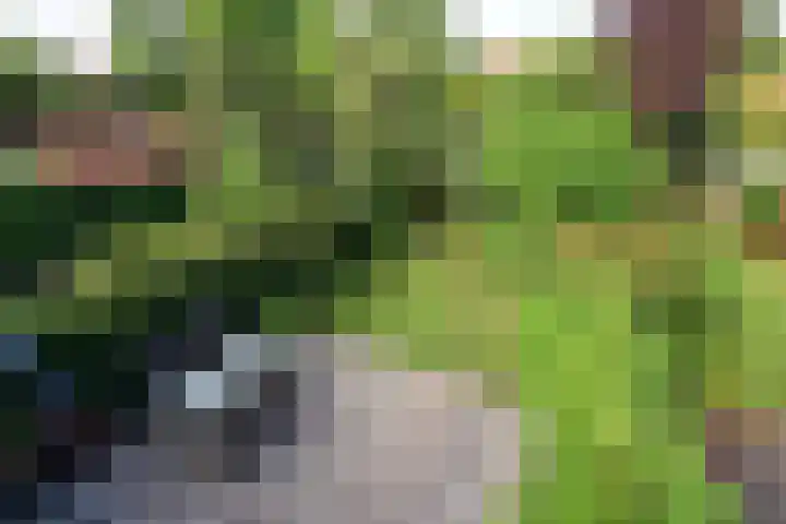 Koninginneweg 6 Bussum thumbnail 12