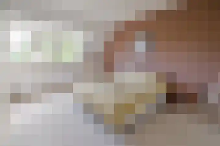 Koninginneweg 6 Bussum thumbnail 13