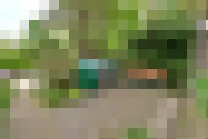 Koninginneweg 6 Bussum thumbnail 19