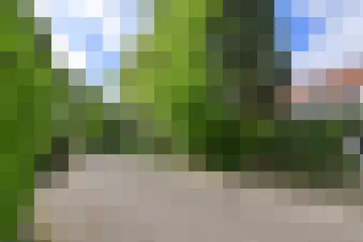 Koninginneweg 6 Bussum thumbnail 20