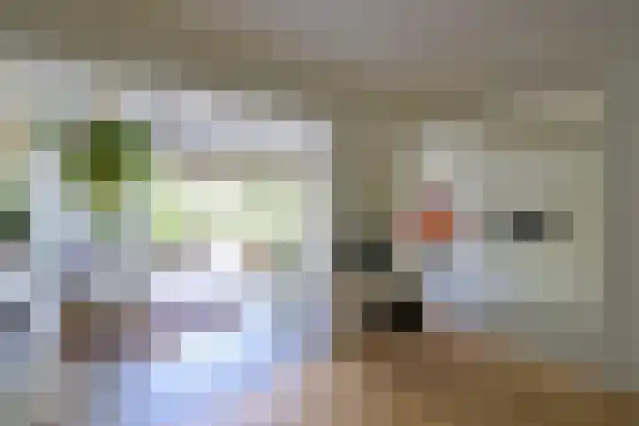 Koninginneweg 6 Bussum thumbnail 5