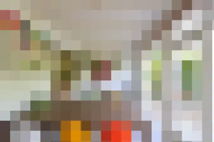 Koninginneweg 6 Bussum thumbnail 6