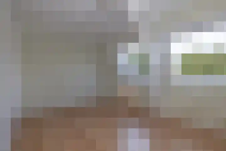 Koninginneweg 6 Kortenhoef thumbnail 15