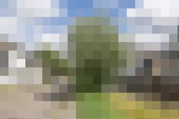 Koninginneweg 6 Kortenhoef thumbnail 23