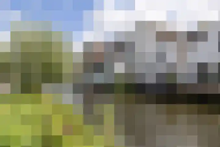 Koninginneweg 6 Kortenhoef thumbnail 25