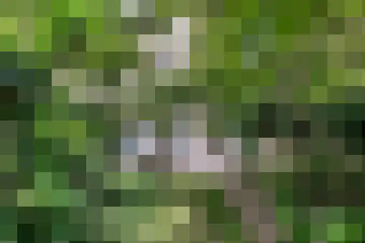 Koninginneweg 61 A Haarlem thumbnail 47
