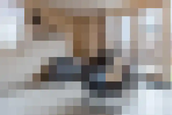 Koninginneweg 61 Zwijndrecht thumbnail 12