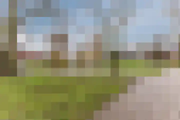Koninginneweg 61 Zwijndrecht thumbnail 40