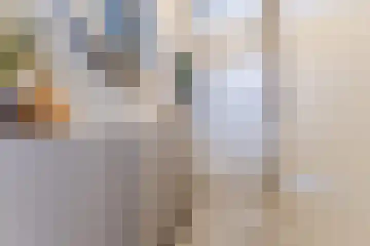 Koninginneweg 61 Zwijndrecht thumbnail 8