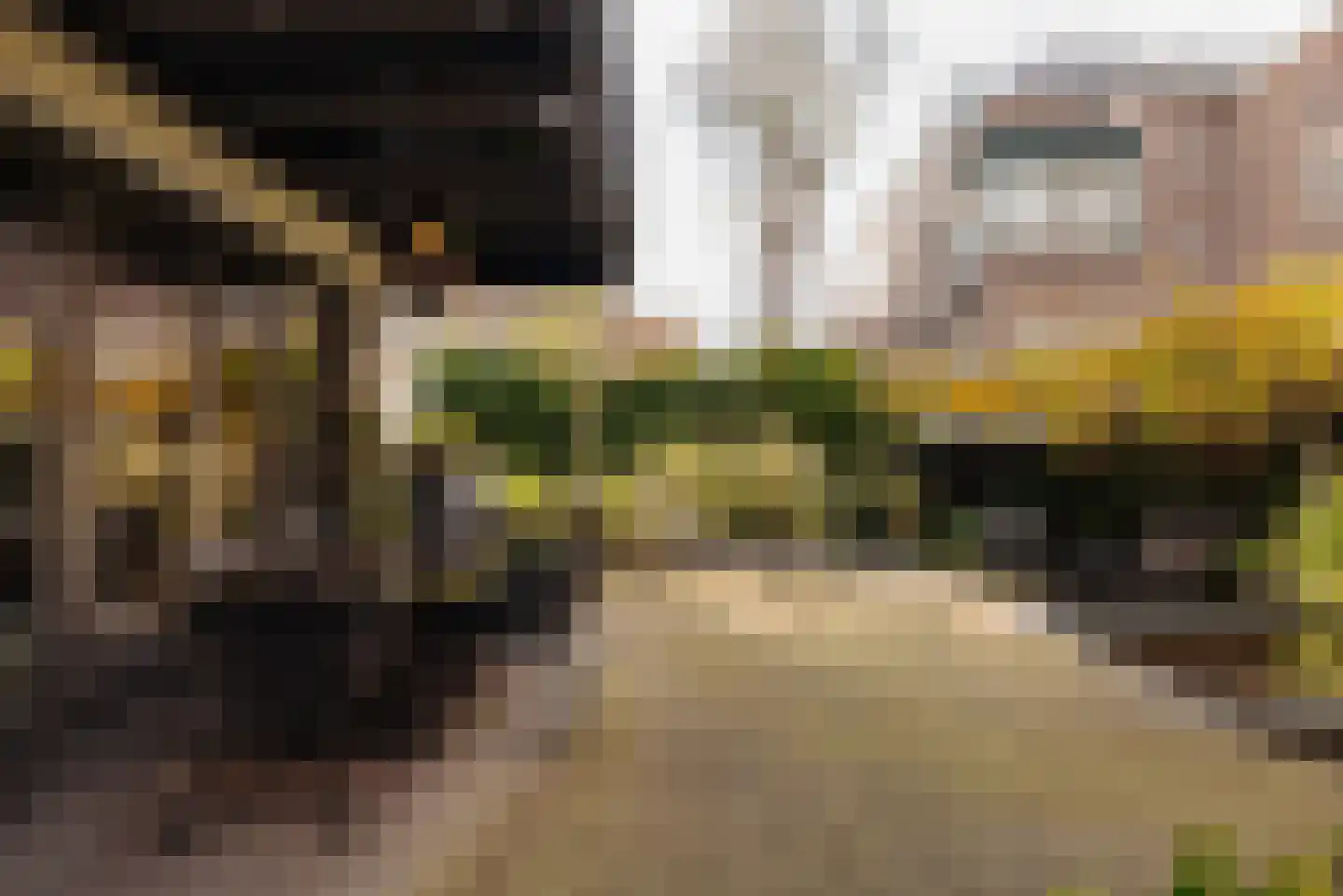 Koninginneweg 62 A Amsterdam thumbnail 17
