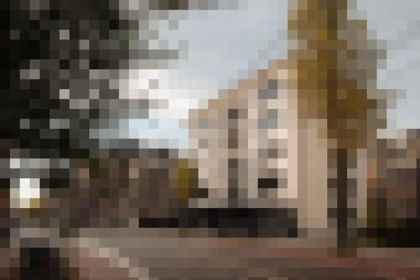 Koninginneweg 62 A Amsterdam thumbnail 4