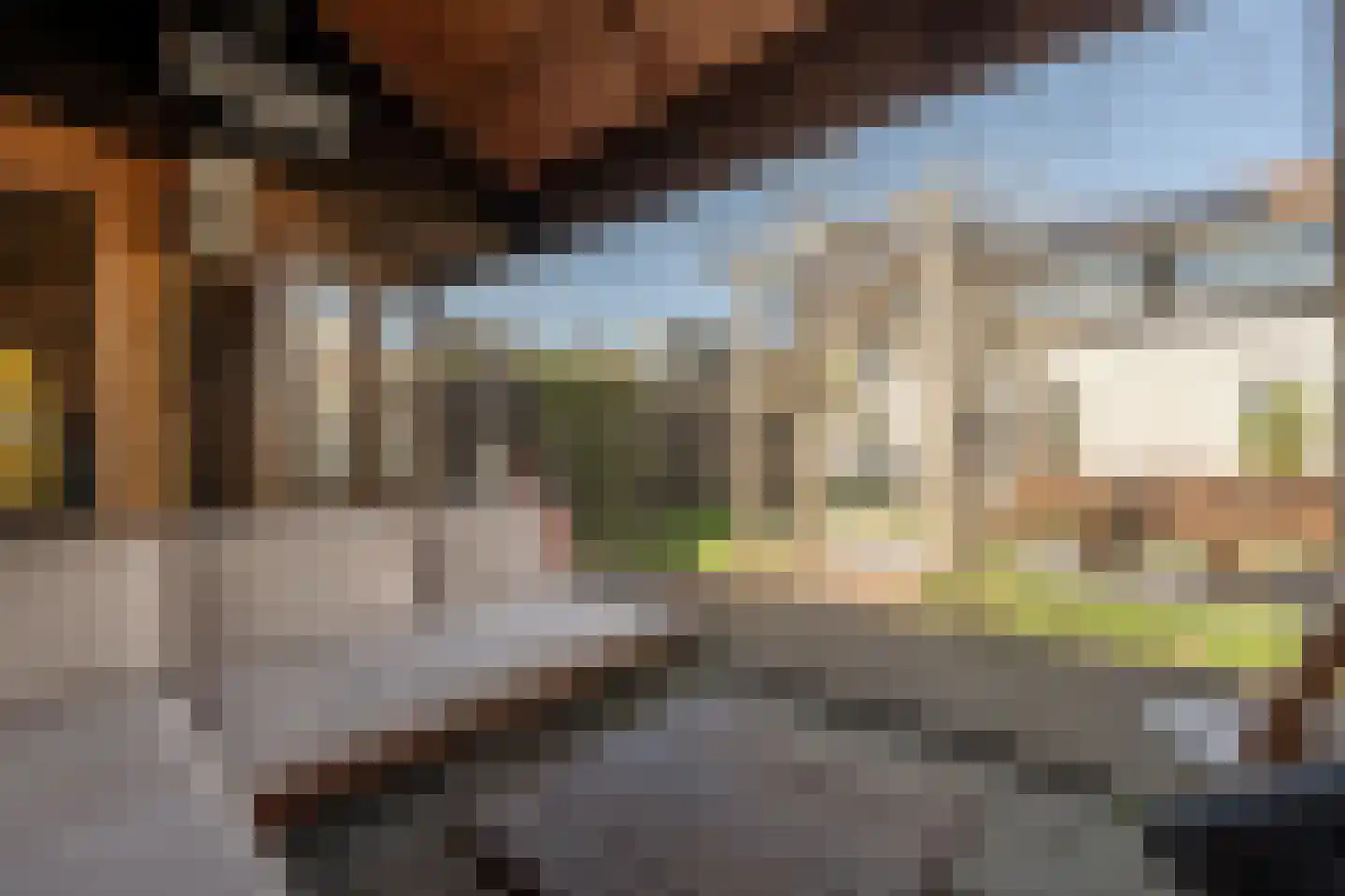 Koninginneweg 63 Oud-Beijerland thumbnail 41