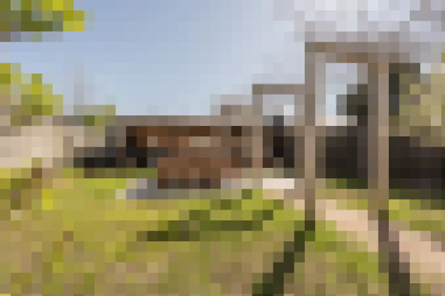 Koninginneweg 63 Oud-Beijerland thumbnail 44