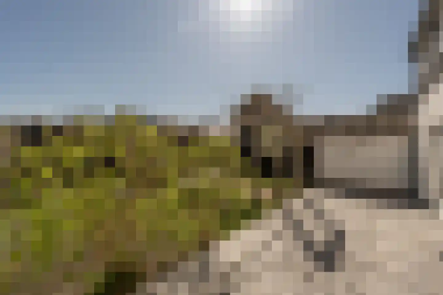 Koninginneweg 63 Oud-Beijerland thumbnail 45
