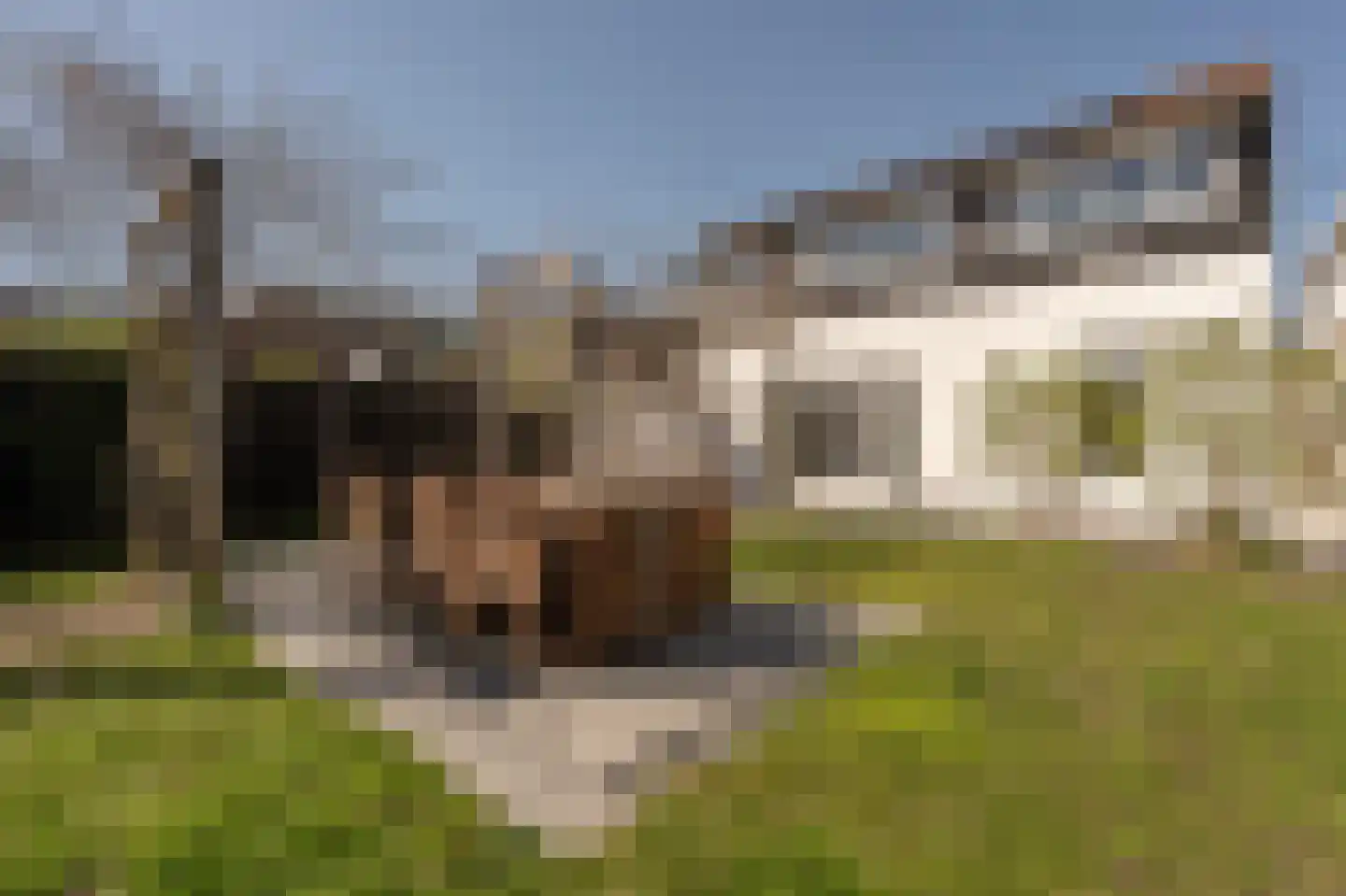 Koninginneweg 63 Oud-Beijerland thumbnail 48