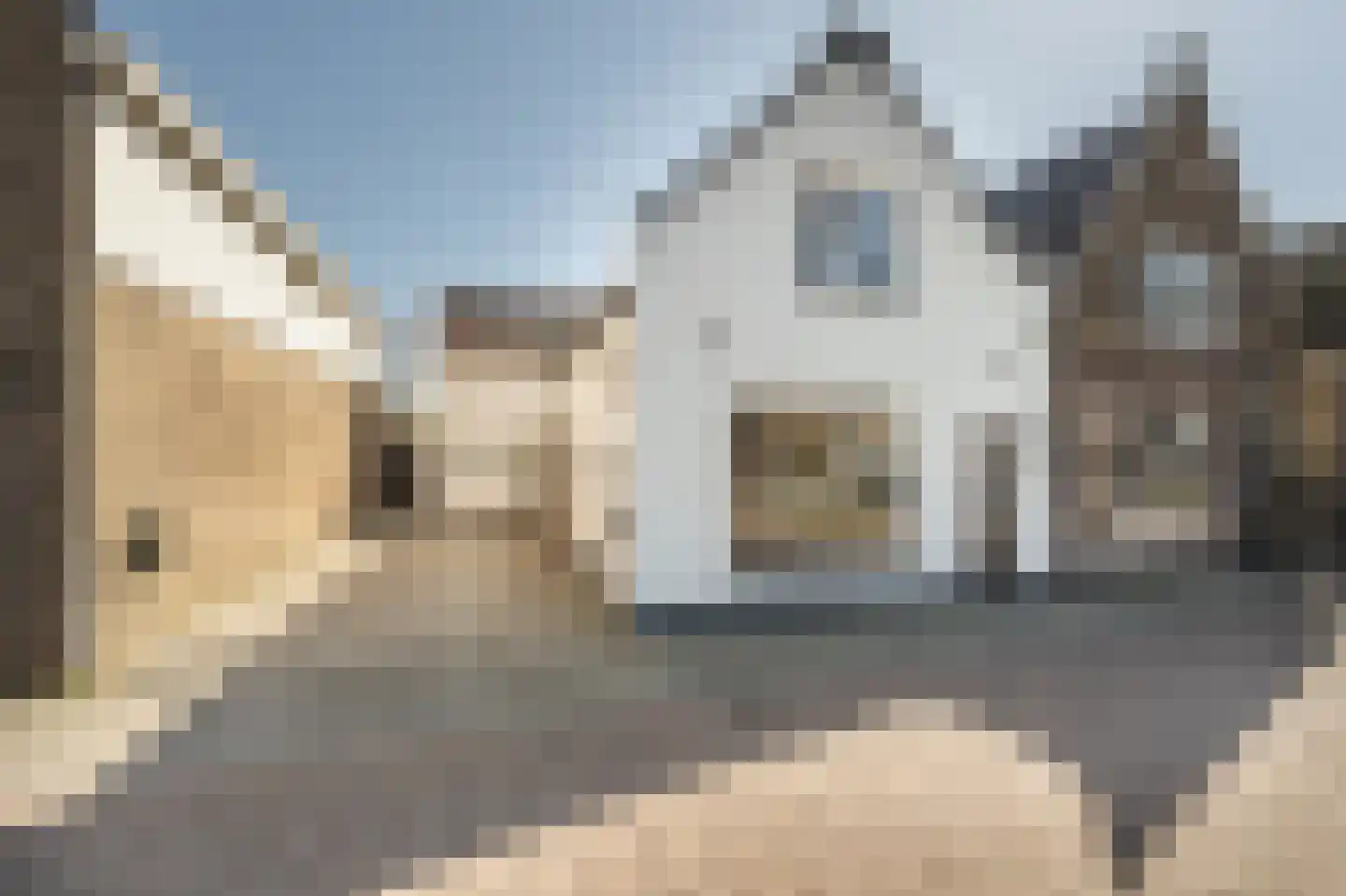 Koninginneweg 63 Oud-Beijerland thumbnail 55