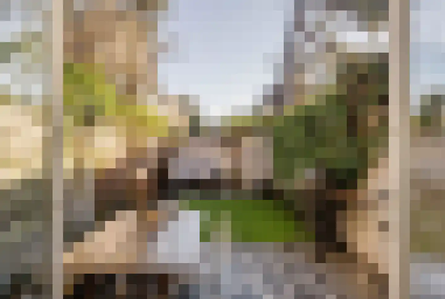 Koninginneweg 63 ZW Haarlem thumbnail 18