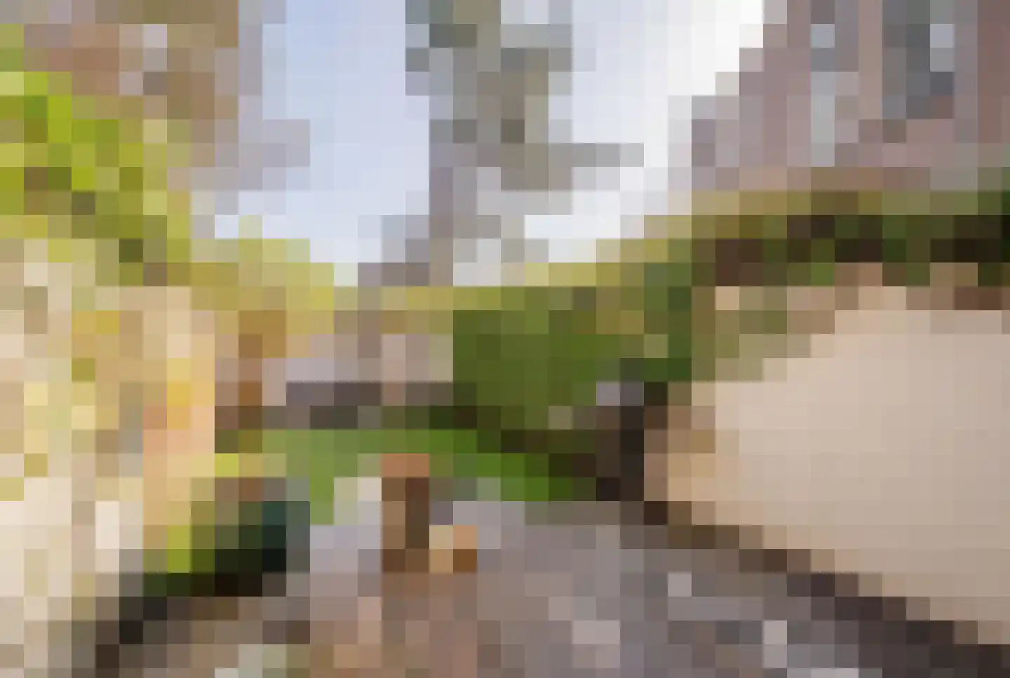 Koninginneweg 63 ZW Haarlem thumbnail 20