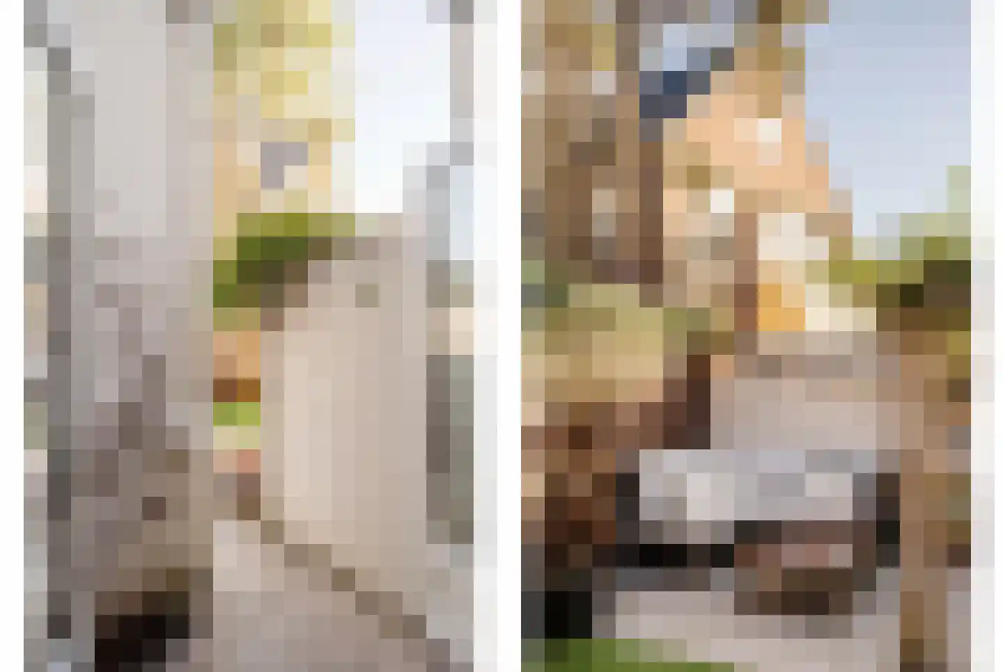 Koninginneweg 63 ZW Haarlem thumbnail 22