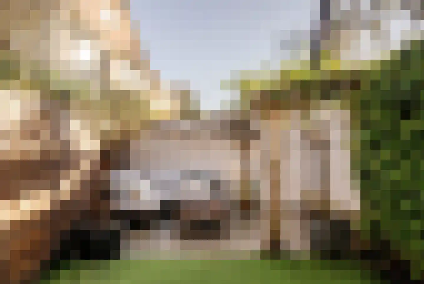 Koninginneweg 63 ZW Haarlem thumbnail 24