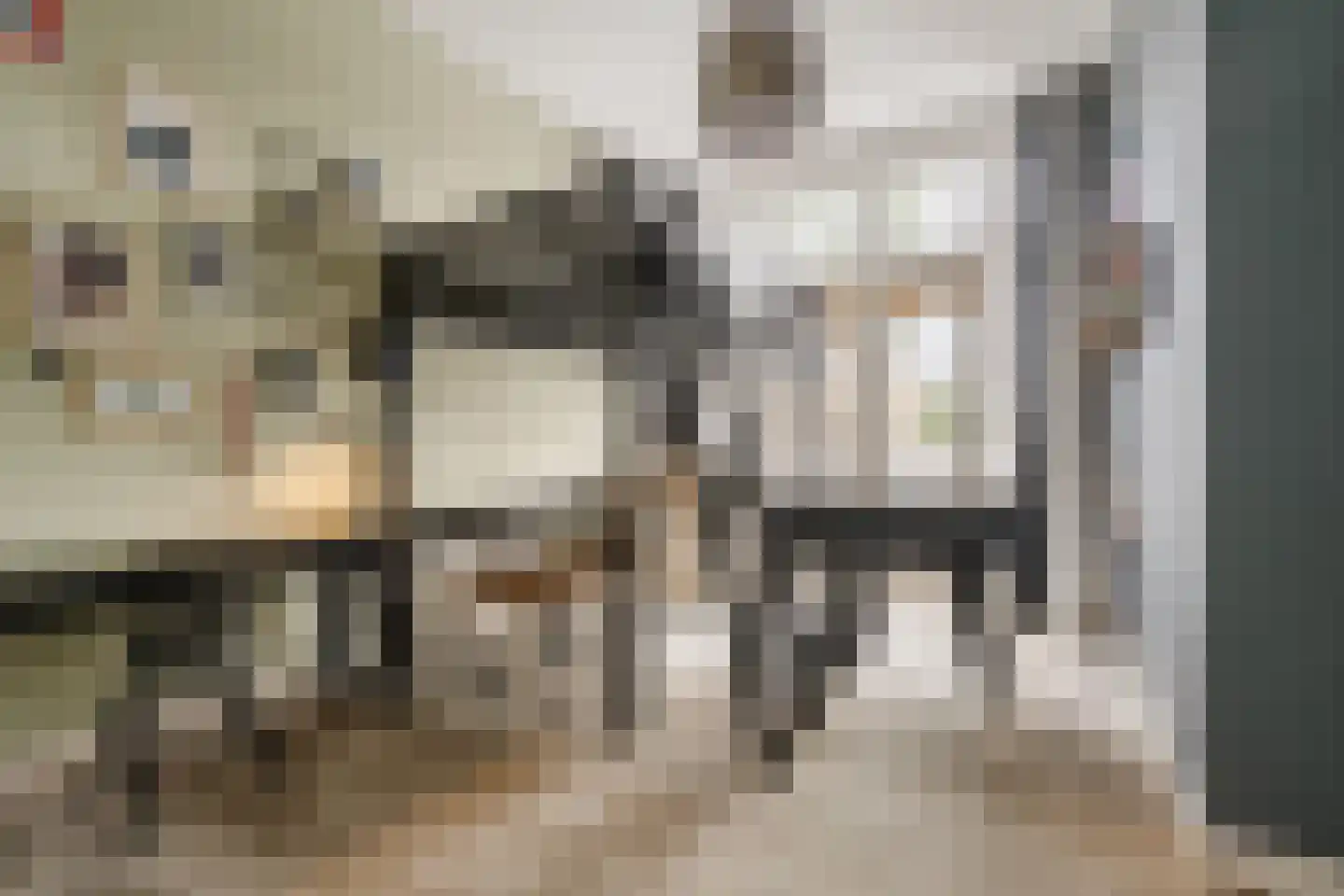 Koninginneweg 63 ZW Haarlem thumbnail 38