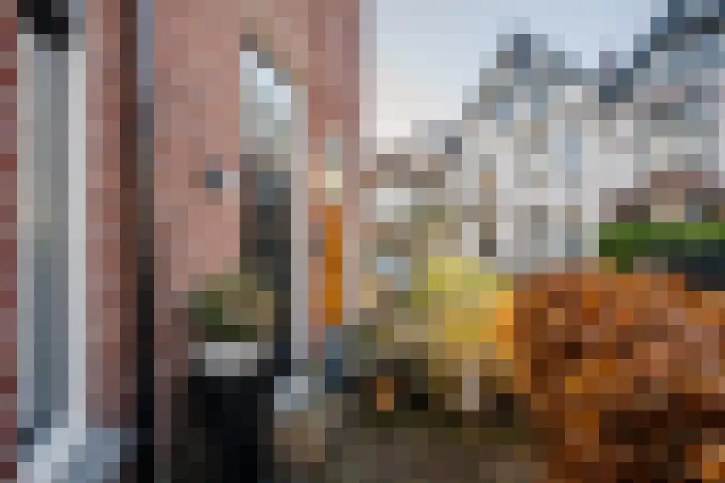 Koninginneweg 63 ZW Haarlem thumbnail 4