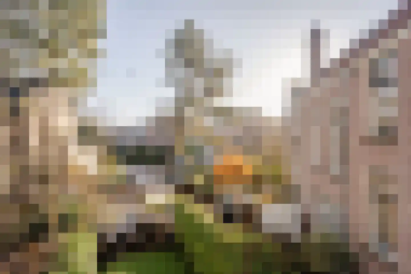 Koninginneweg 63 ZW Haarlem thumbnail 40