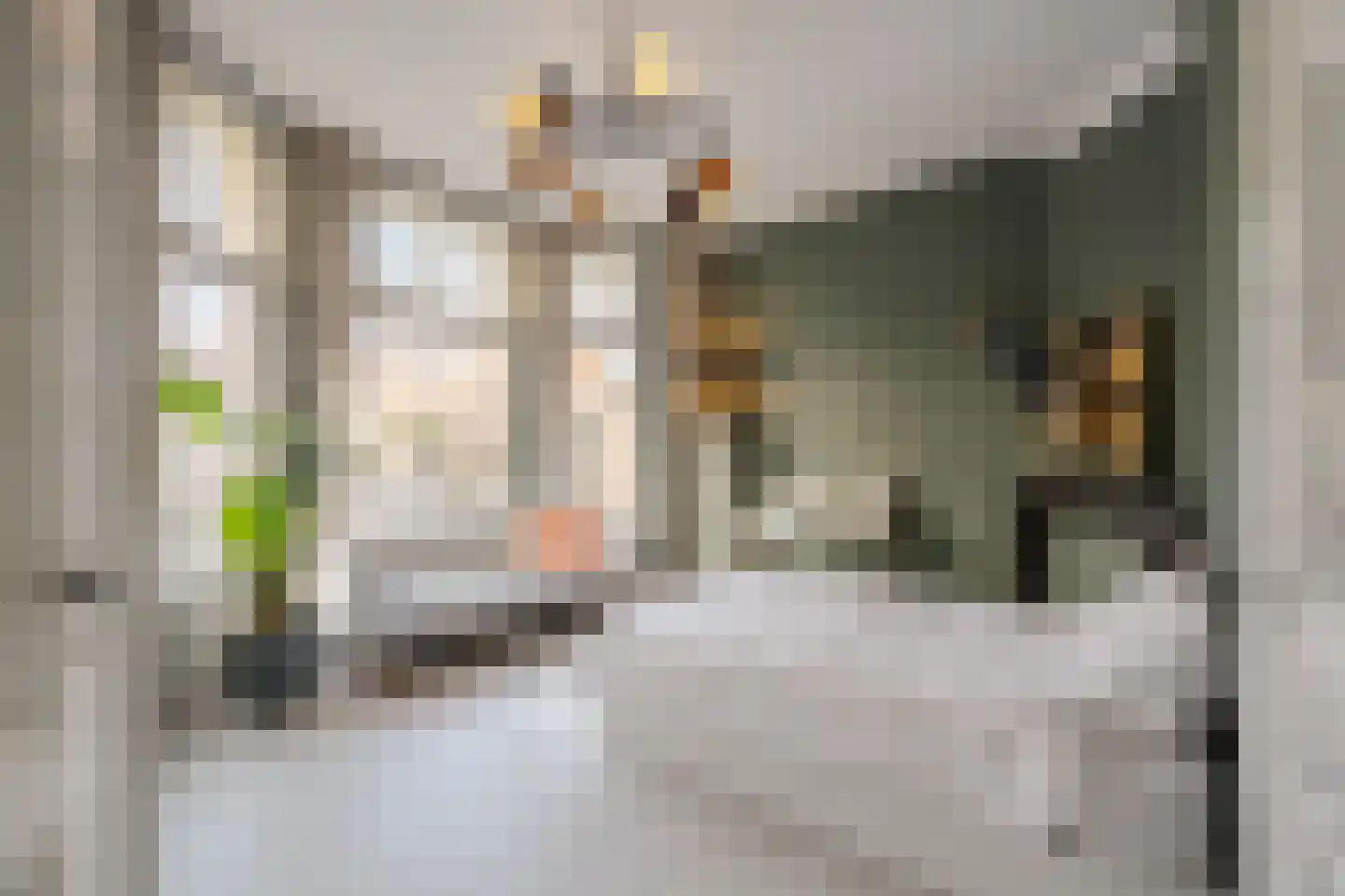 Koninginneweg 63 ZW Haarlem thumbnail 44