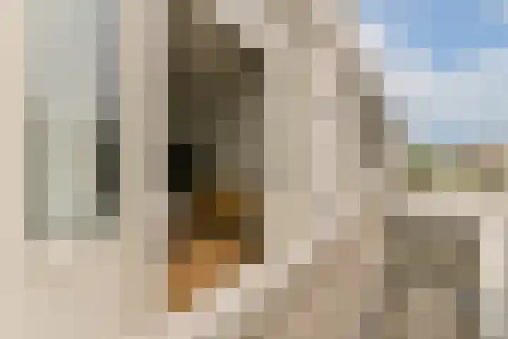 Koninginneweg 65 3 Amsterdam thumbnail 17