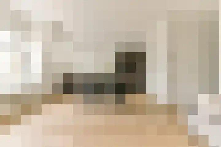 Koninginneweg 65 3 Amsterdam thumbnail 9