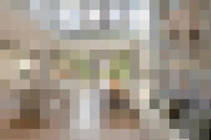Koninginneweg 68 Haarlem thumbnail 22