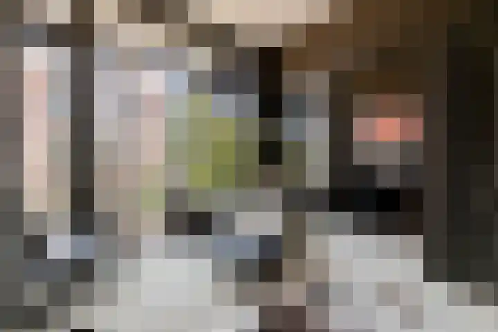Koninginneweg 68 Haarlem thumbnail 30