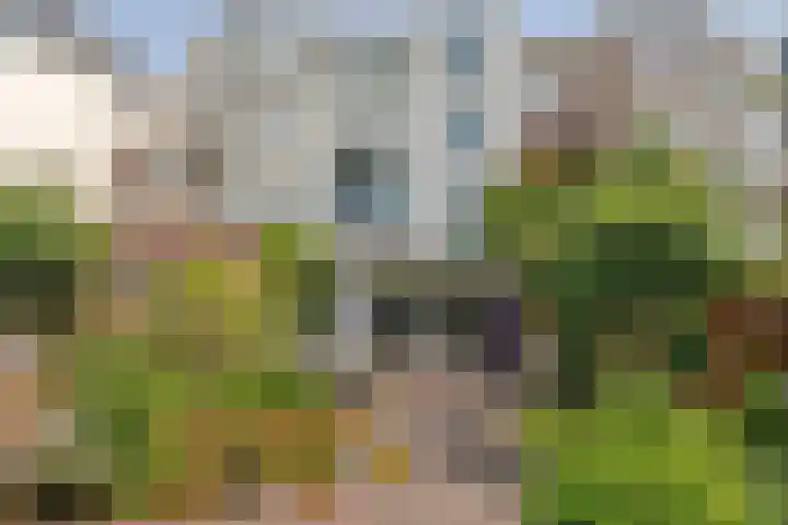 Koninginneweg 68 Haarlem thumbnail 40