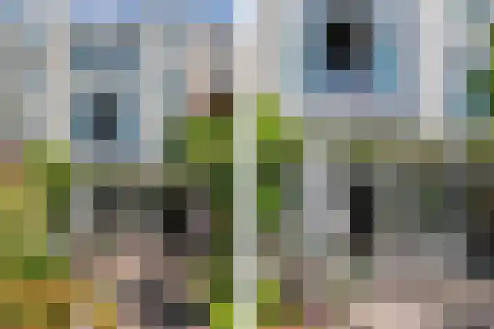 Koninginneweg 68 Haarlem thumbnail 41