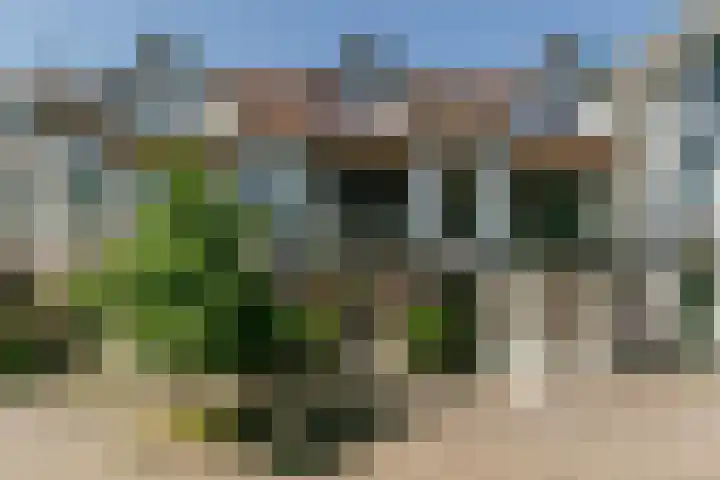 Koninginneweg 68 Haarlem thumbnail 5