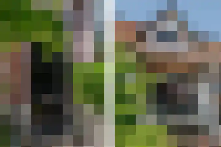 Koninginneweg 68 Haarlem thumbnail 6
