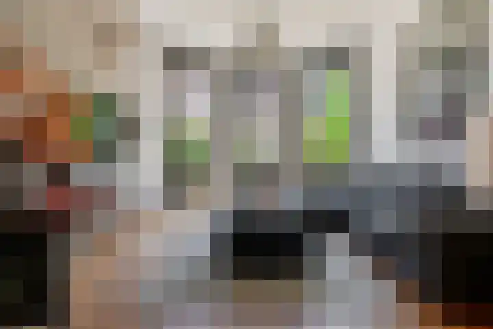 Koninginneweg 68 Haarlem thumbnail 8