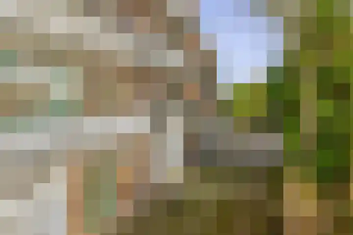 Koninginneweg 7 Lisse thumbnail 19