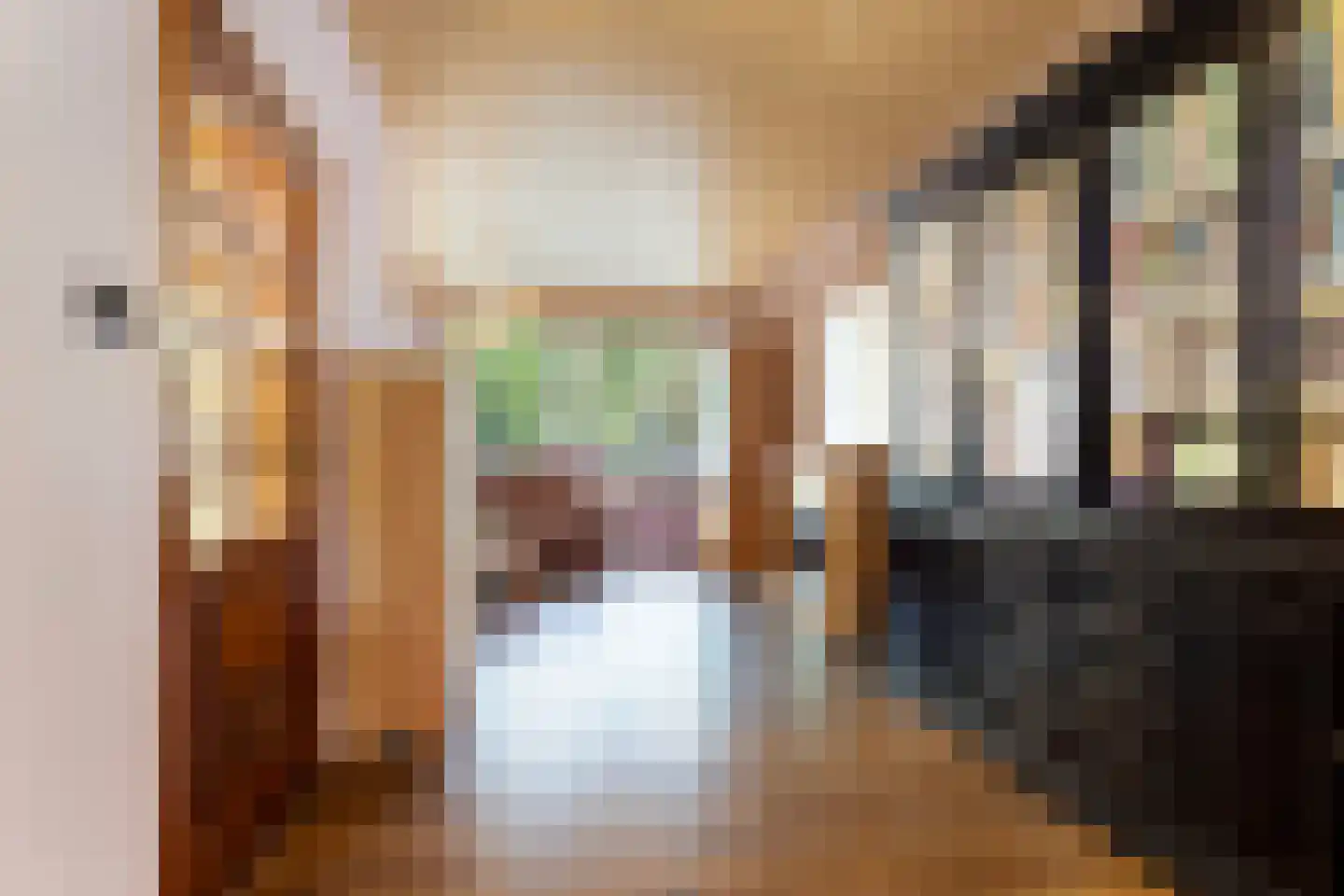 Koninginneweg 73 Rotterdam thumbnail 11