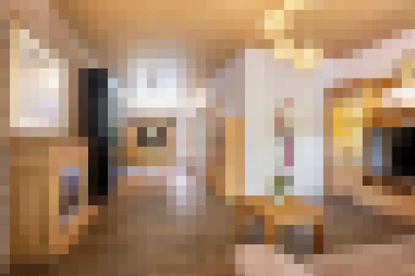 Koninginneweg 73 Rotterdam thumbnail 15